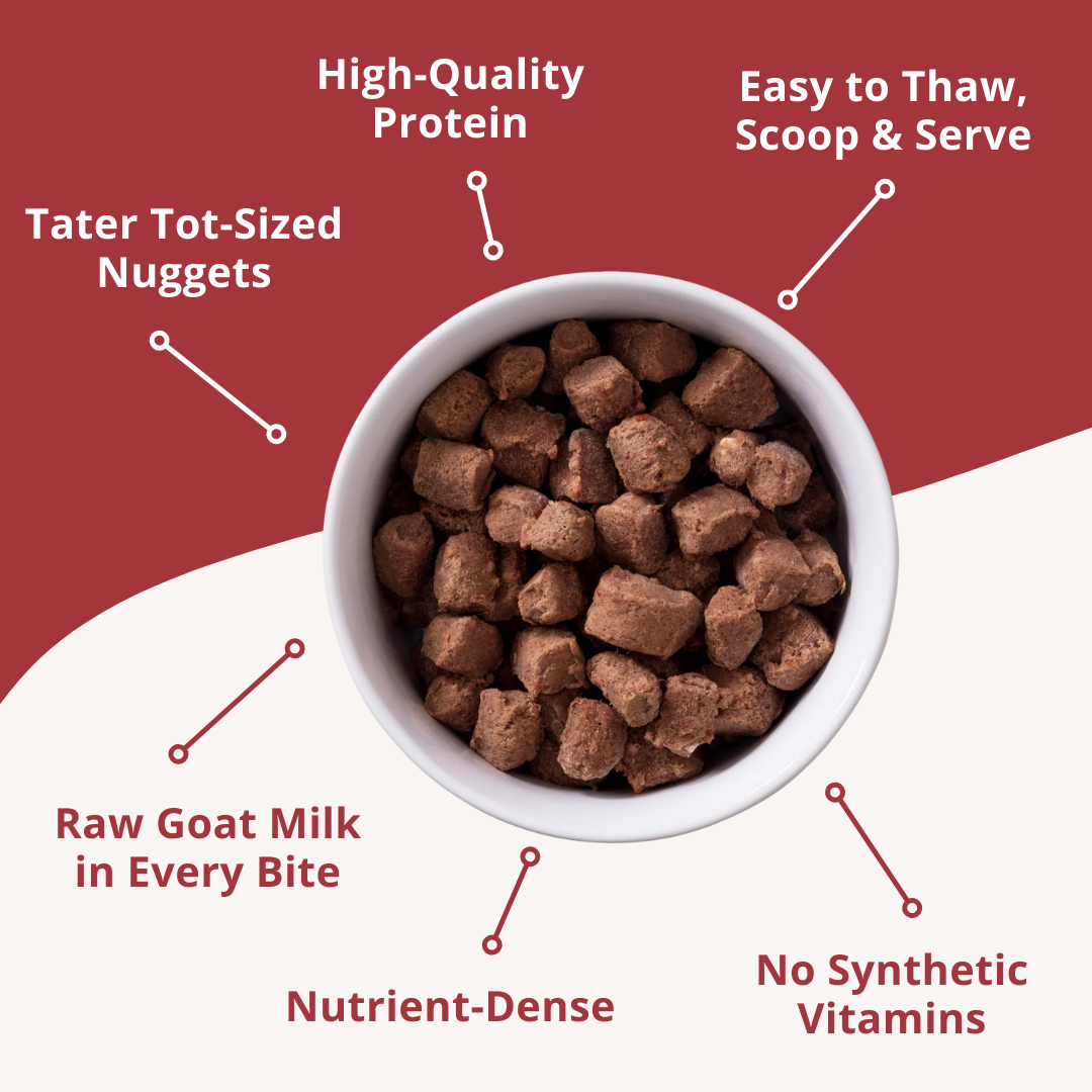 Dog food in a bowl with text highlighting features on a red background