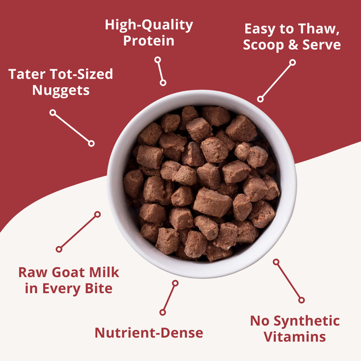 Dog food in a bowl with text highlighting features on a red background