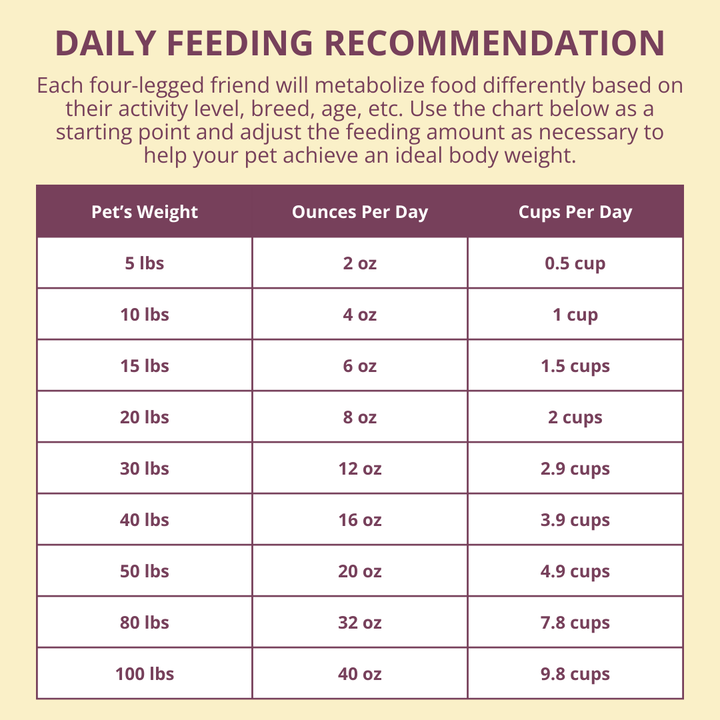 Daily feeding recommendation chart for pets on a yellow background