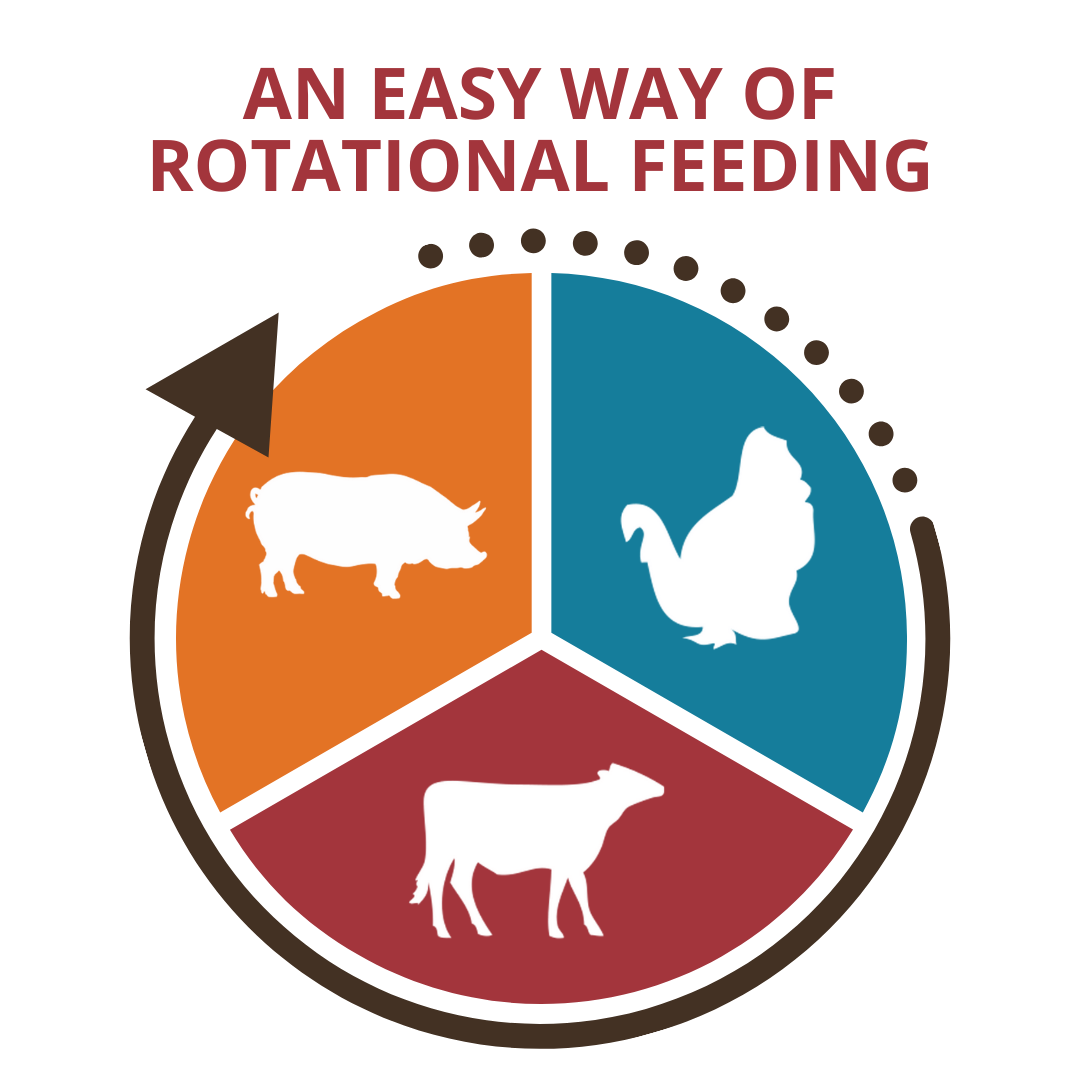 Variety Bundle - Beef, Pork, Turkey | 15 lb Frozen Raw Pet Food (3 pack)