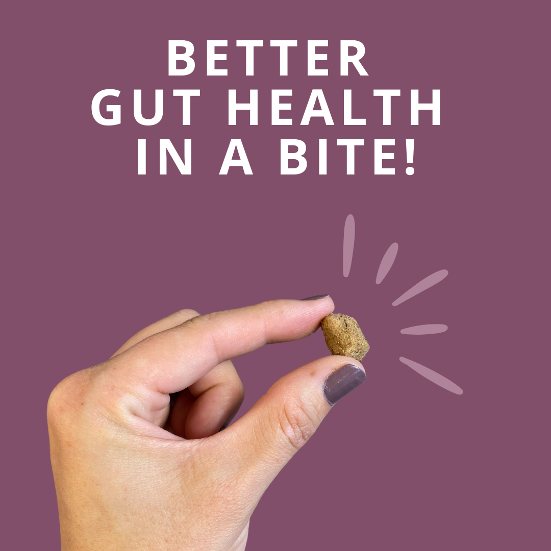 Hand holding a pet treat with text 'Better Gut Health in a Bite!' on a purple background