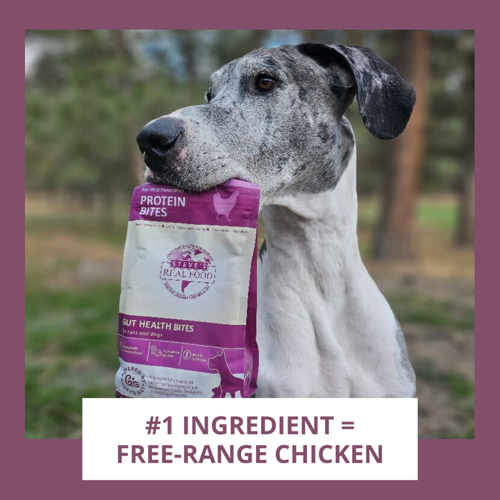 Dog holding a package of dog treats with text about free-range chicken