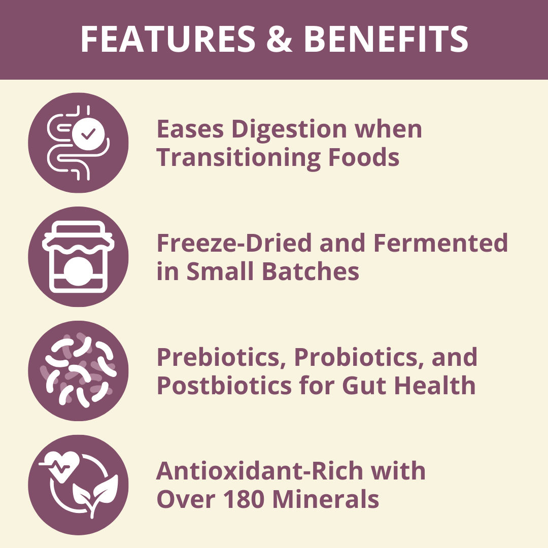 List of features and benefits of a product on a beige background with purple icons.