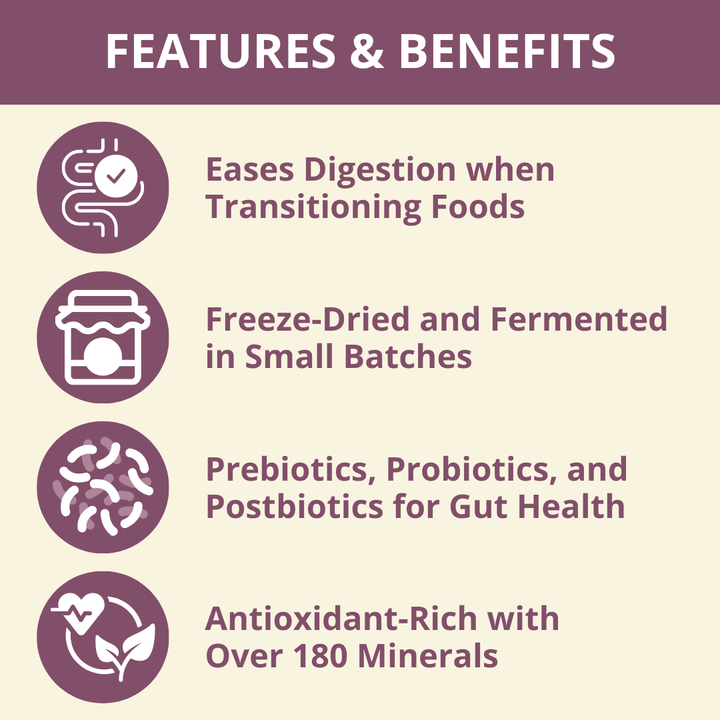 List of features and benefits of a product on a beige background with purple icons.