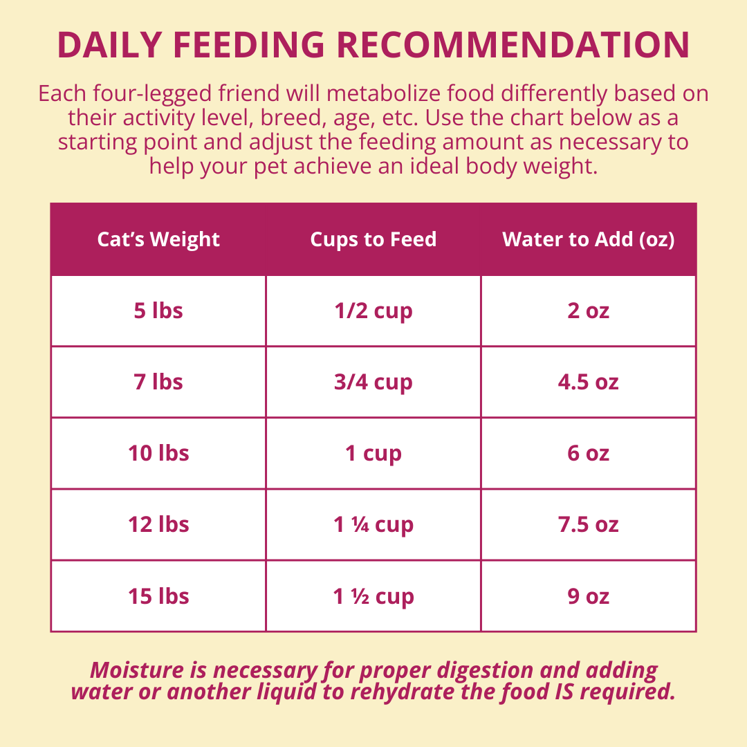 Daily feeding recommendation chart for cats on a yellow background