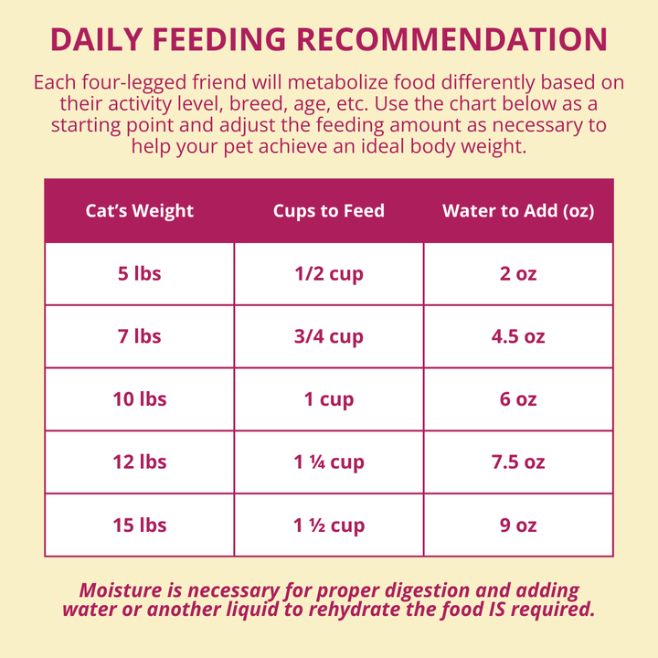 Daily feeding recommendation chart for cats on a yellow background