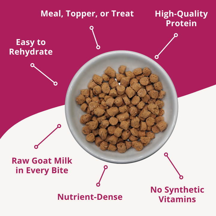 Bowl of pet food with text highlighting features on a pink background