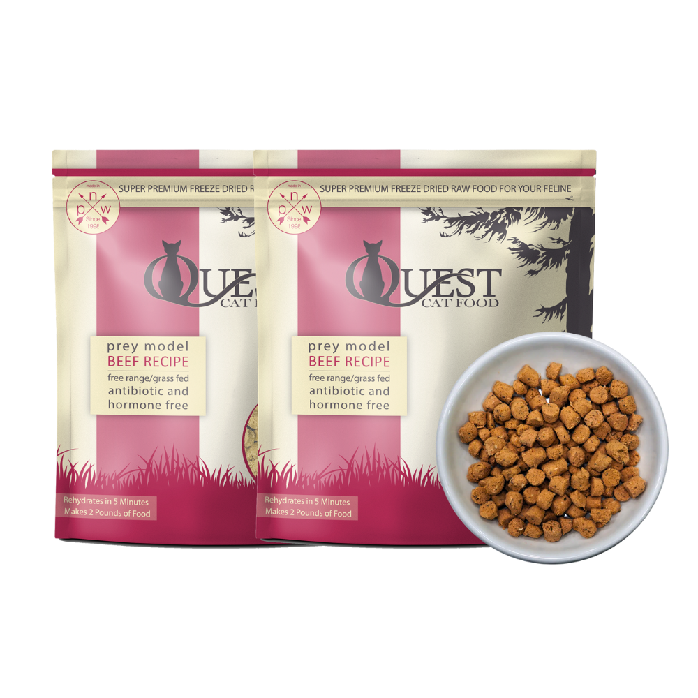 Beef Freeze-Dried Raw Cat Food (2 Pack) Bundle – Raw Pet Food