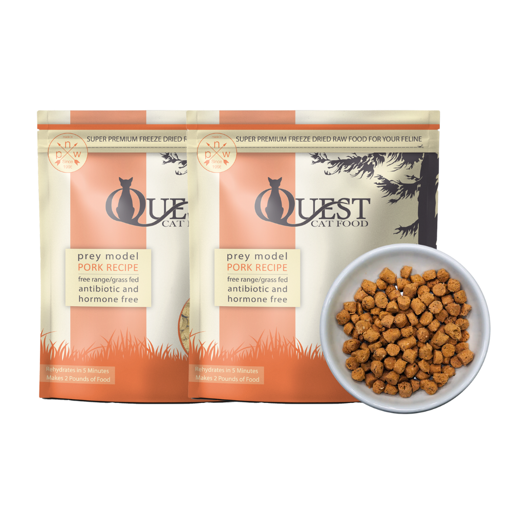 Pork Freeze-Dried Raw Cat Food (2 Pack) Bundle – Raw Pet Food - Main Image