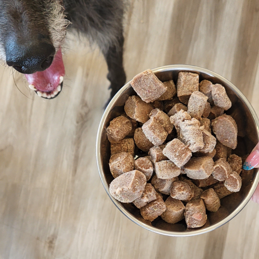 dog with bowl of frozen raw nuggets