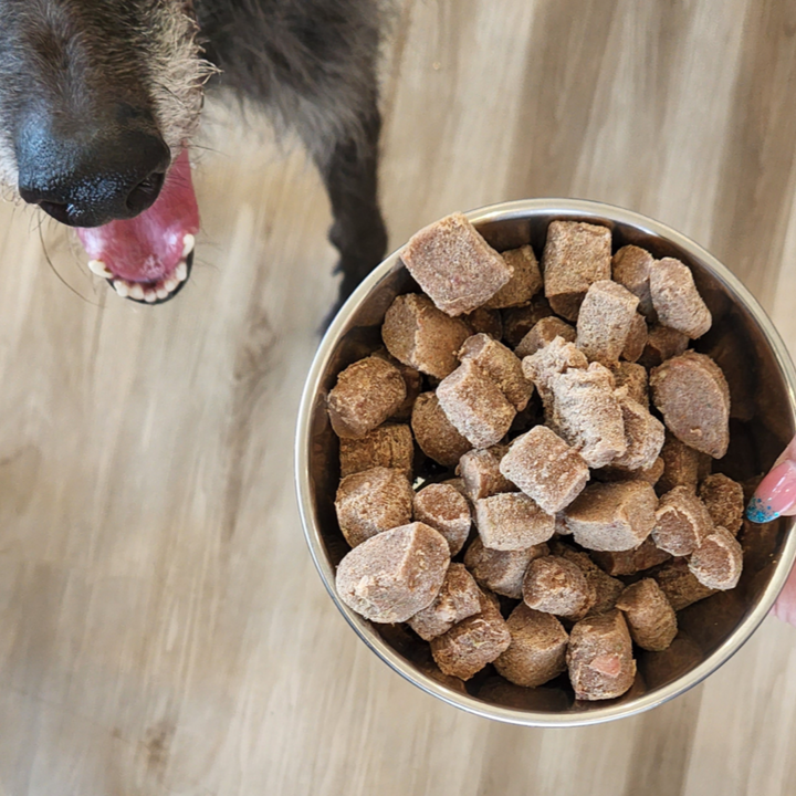 dog with bowl of frozen raw nuggets