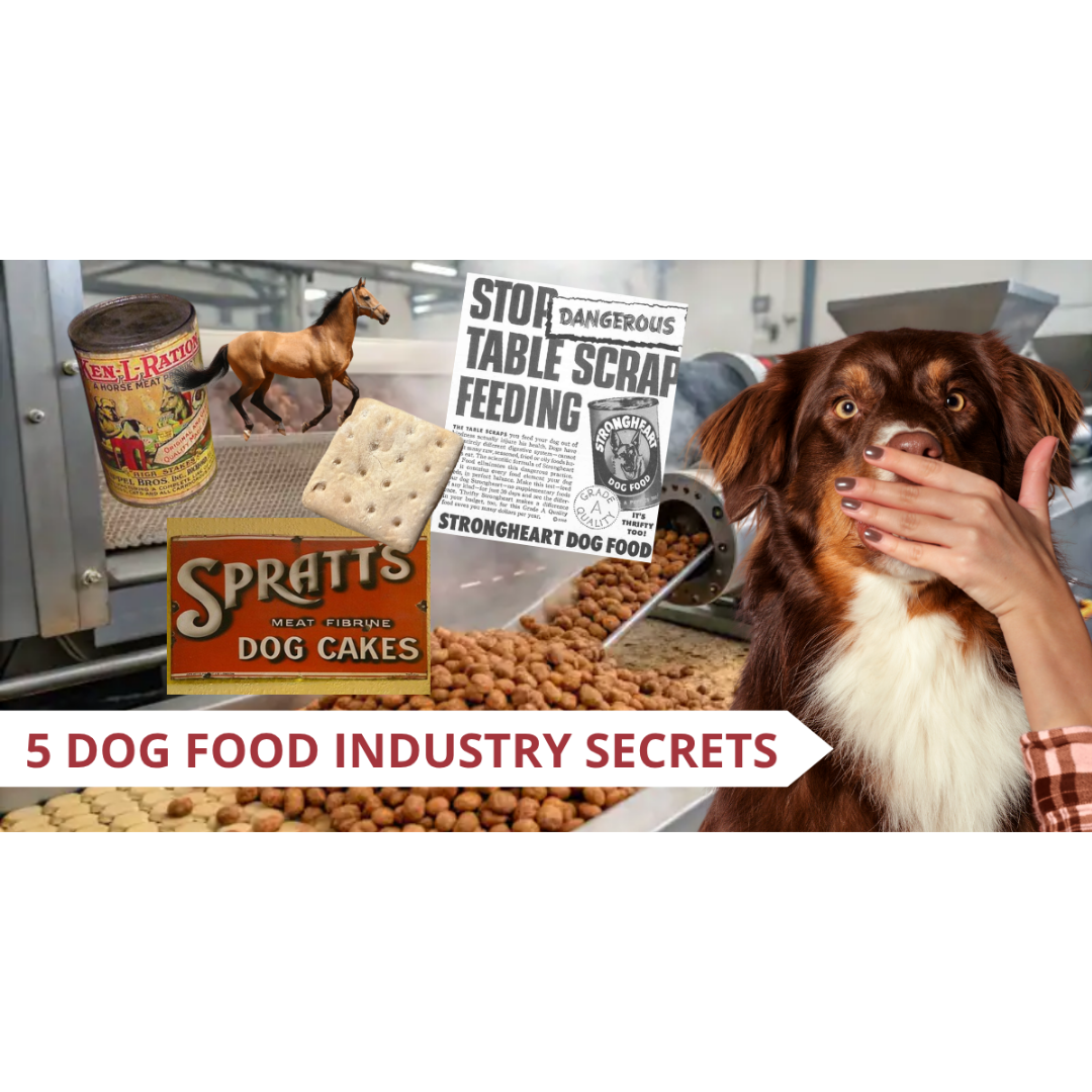 5 Dog Food Industry Secrets