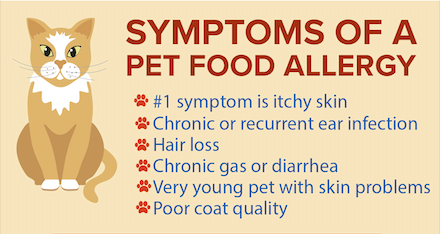 Pet Food and Allergies