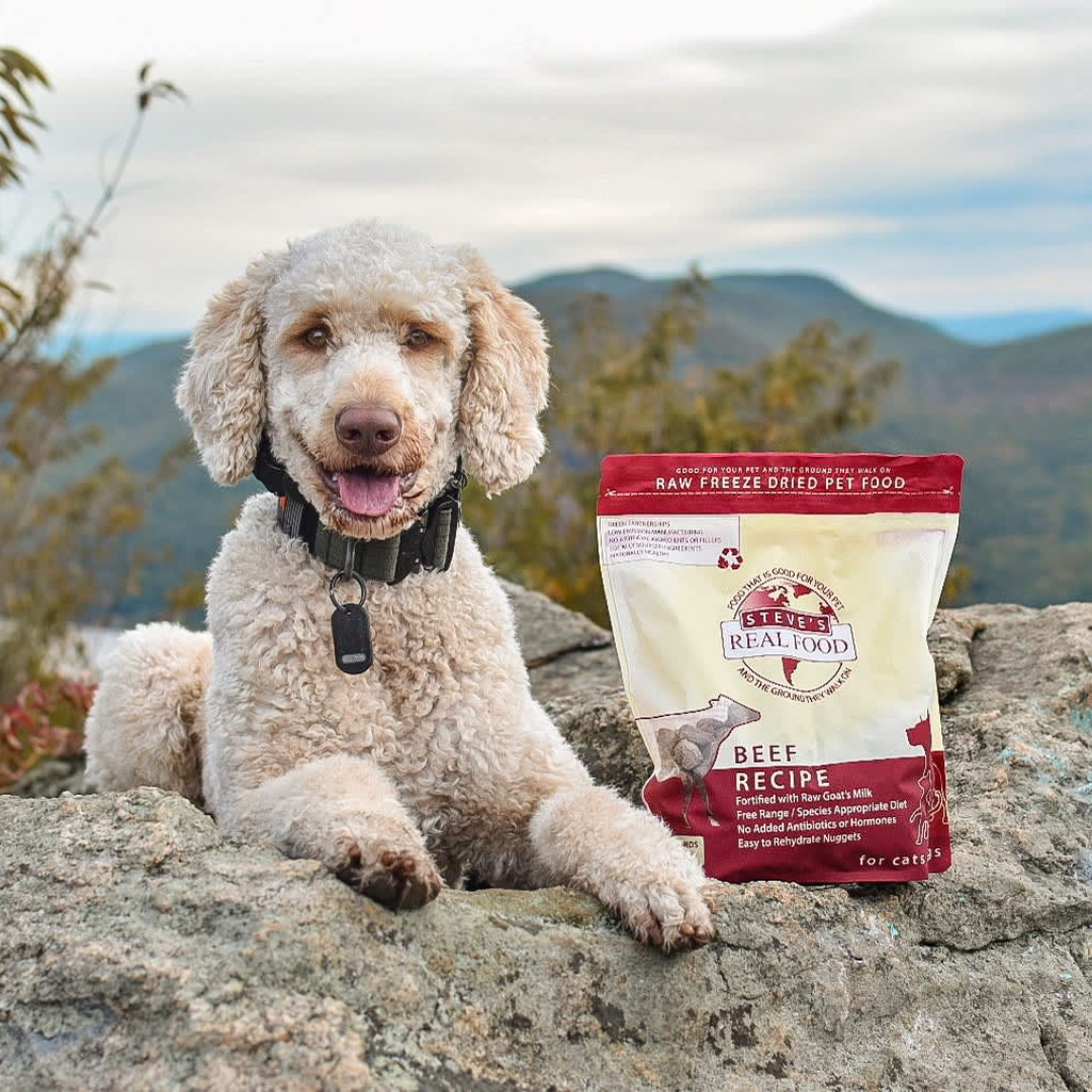 What Makes a Sustainable Pet Food?