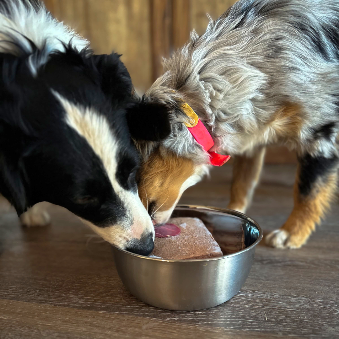 A Raw Diet Has Been Shown to Be Effective in Case of Digestion Issues