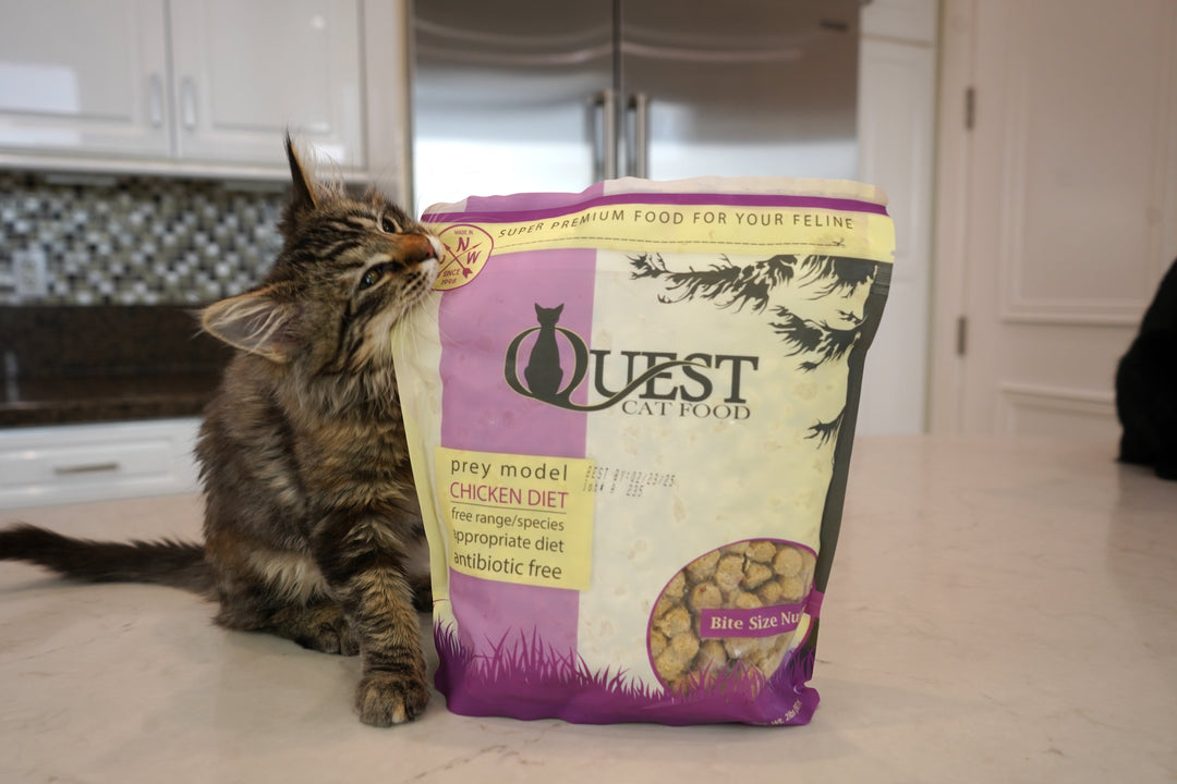 Fresh Cat Food Delivery