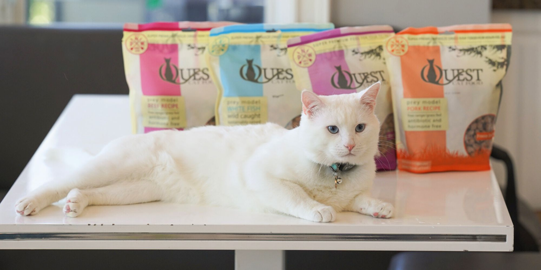 Freeze-Dried Raw Cat Food | Steve's Real Food | QUEST Cat Food