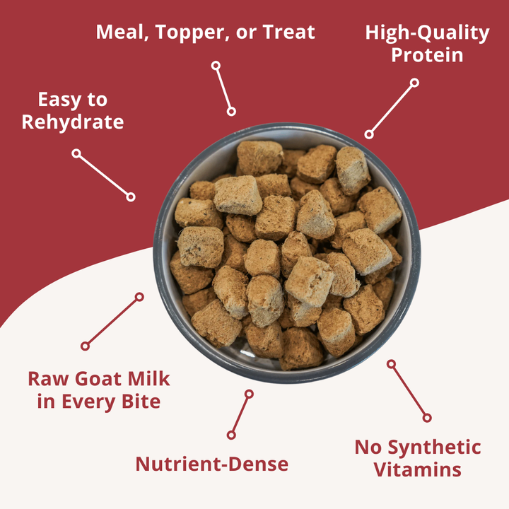 Dog food in a bowl with text highlighting features on a red background