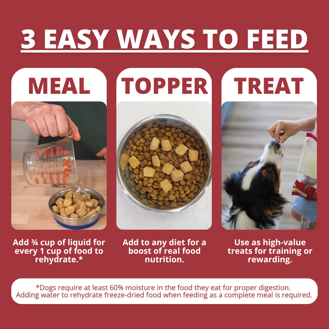 An informational graphic titled '3 EASY WAYS TO FEED' with three panels showing how to feed a dog: measuring liquid for rehydration, adding a food topper, and giving a treat. The layout uses a dark red background with white text and small inset photos demonstrating the steps.
