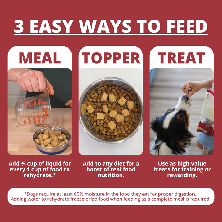 An informational graphic titled '3 EASY WAYS TO FEED' with three panels showing how to feed a dog: measuring liquid for rehydration, adding a food topper, and giving a treat. The layout uses a dark red background with white text and small inset photos demonstrating the steps.