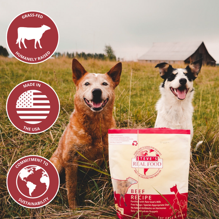 A bag of Steve's Real Food Beef raw dog food stands in a grassy field with two dogs beside it. Three circular badges on the left say grass-fed, humanely raised, made in the USA, and commitment to sustainability.