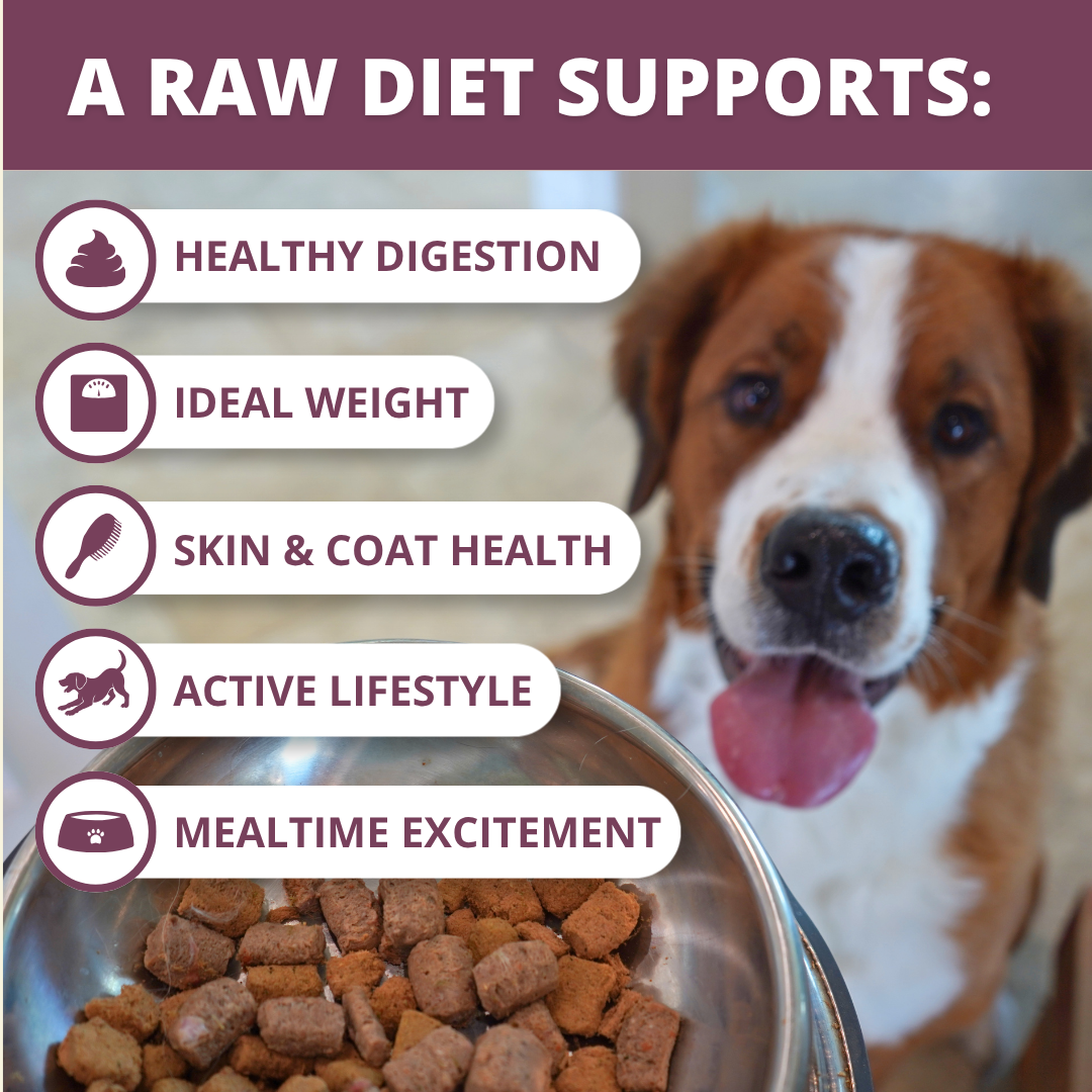 Freeze Dried Raw Dog Food: Chicken Nuggets