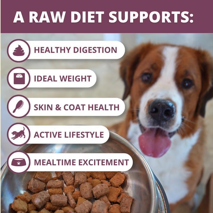 Freeze Dried Raw Dog Food: Chicken Nuggets