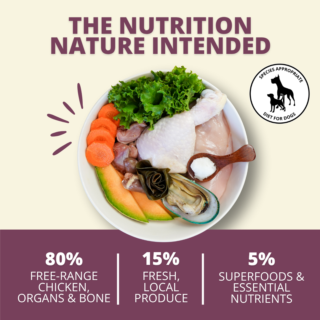 Freeze Dried Raw Dog Food: Chicken Nuggets