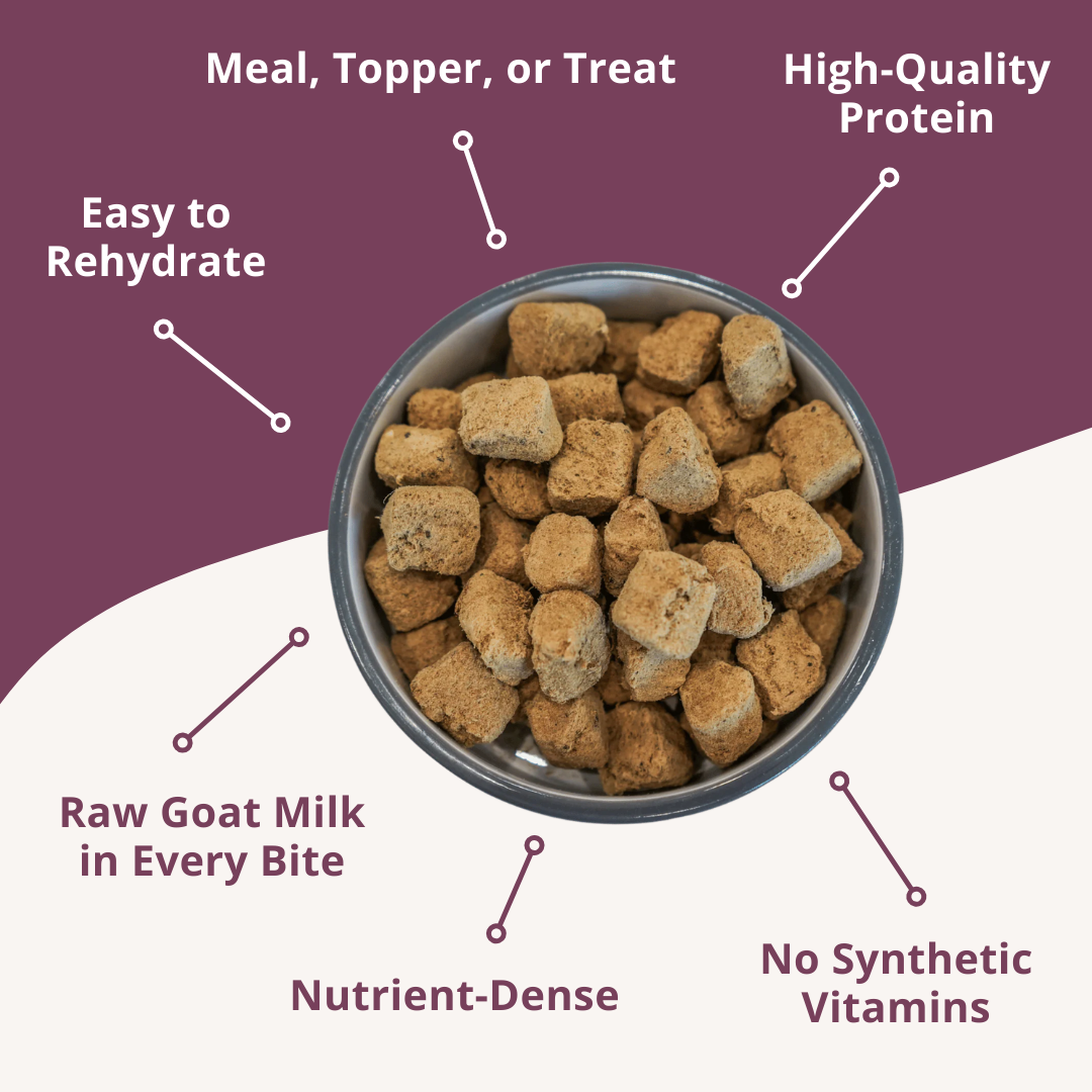 Dog food in a bowl with text highlighting features on a purple background