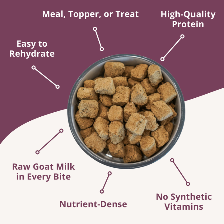 Dog food in a bowl with text highlighting features on a purple background