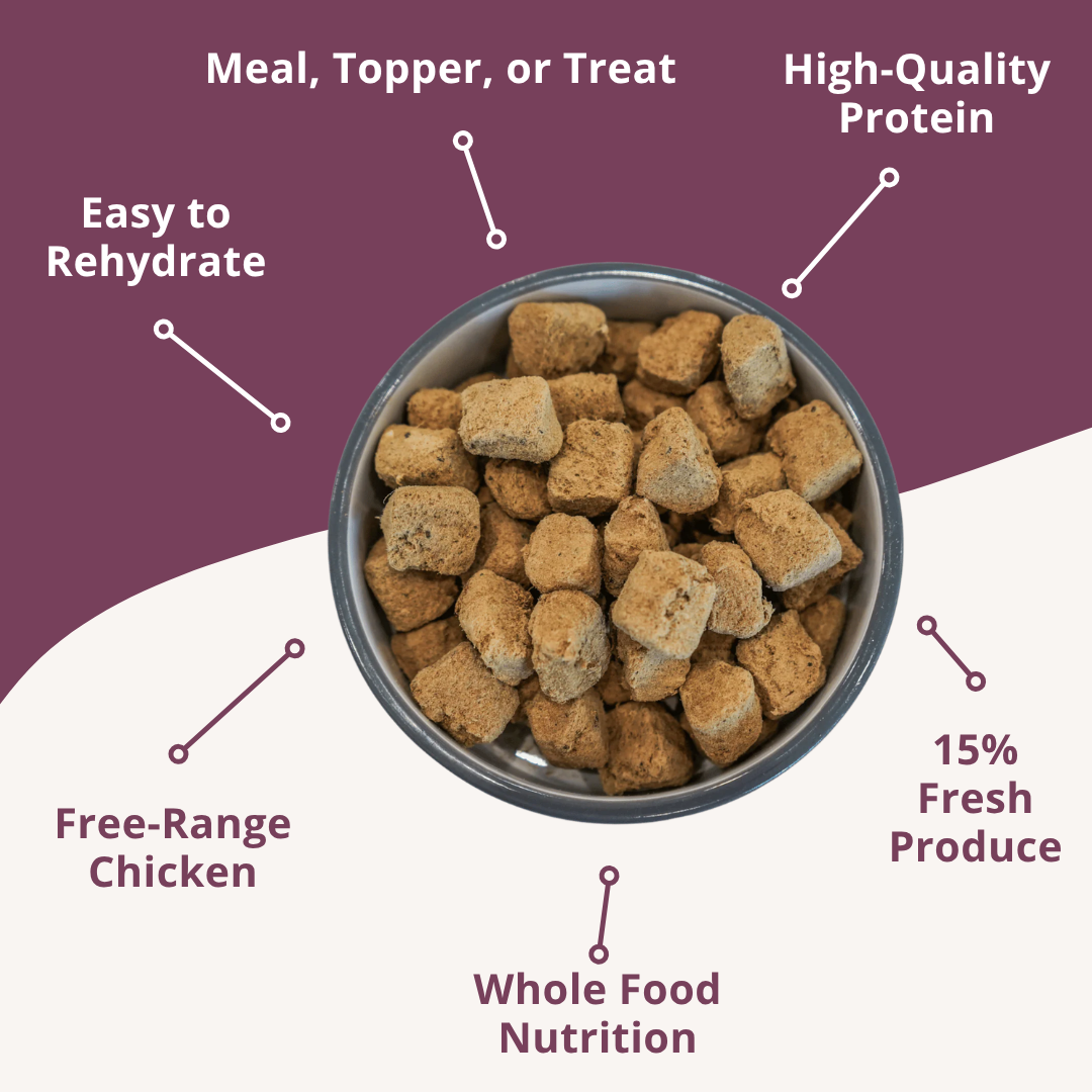 Freeze Dried Raw Dog Food: Chicken Nuggets