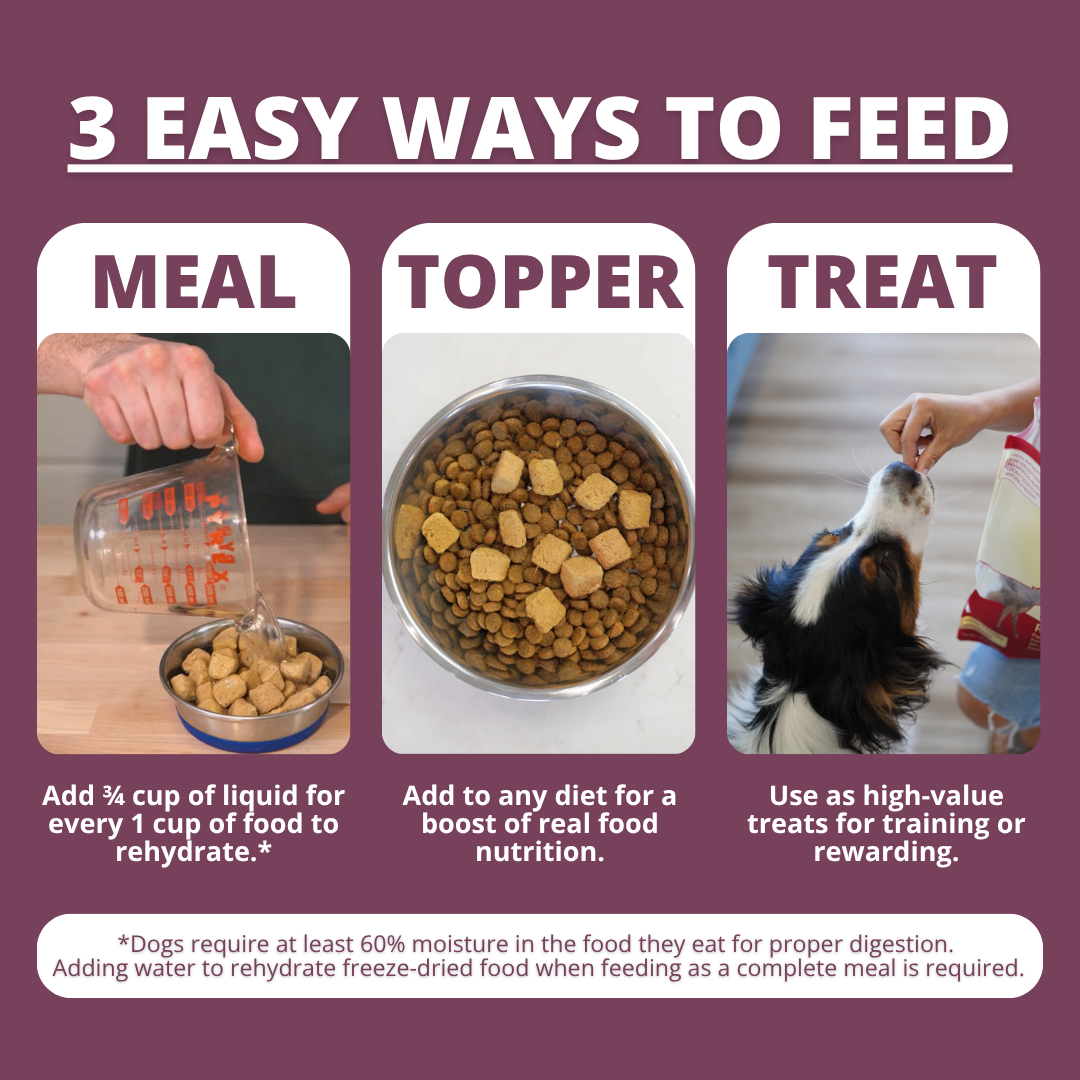 Freeze Dried Raw Dog Food: Chicken Nuggets