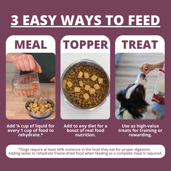 Freeze Dried Raw Dog Food: Chicken Nuggets