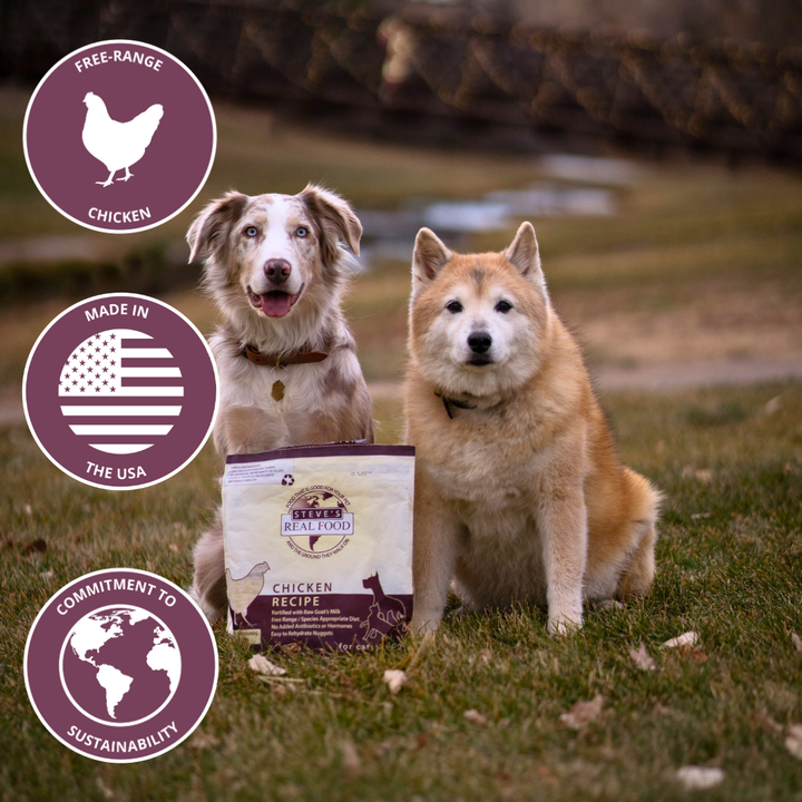 Freeze Dried Raw Dog Food: Chicken Nuggets
