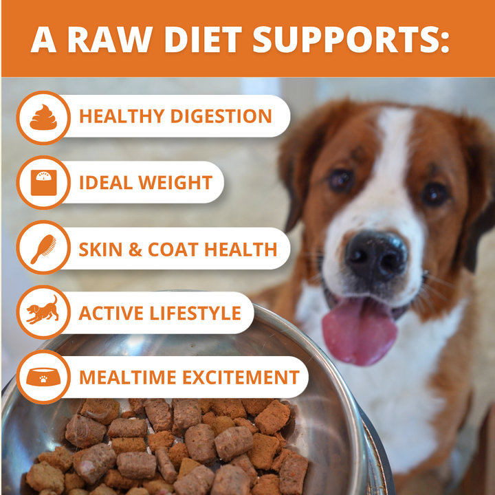 dog with bowl of food and text highlighting 5 benefits of raw