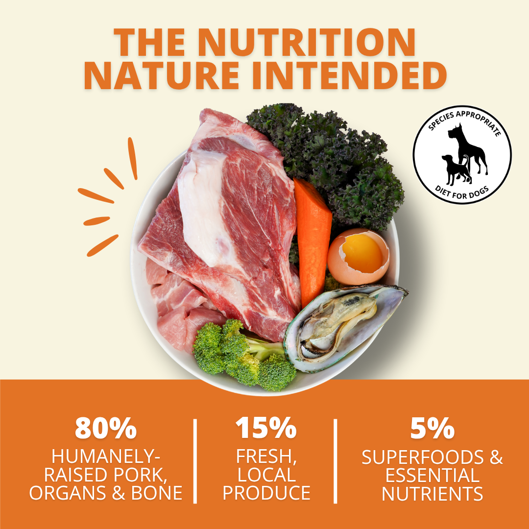 bowl of fresh food ingredients like pork and vegetables