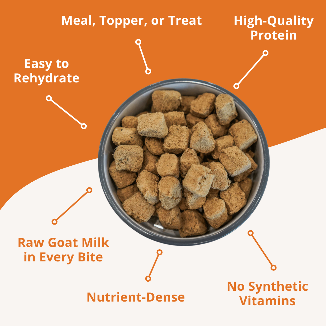 Dog food in a bowl with text highlighting features on an orange background