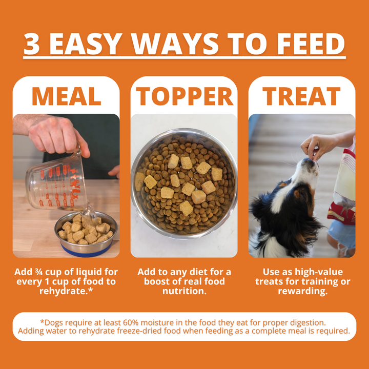 infographic showing 3 ways to feed freeze-dried dog food