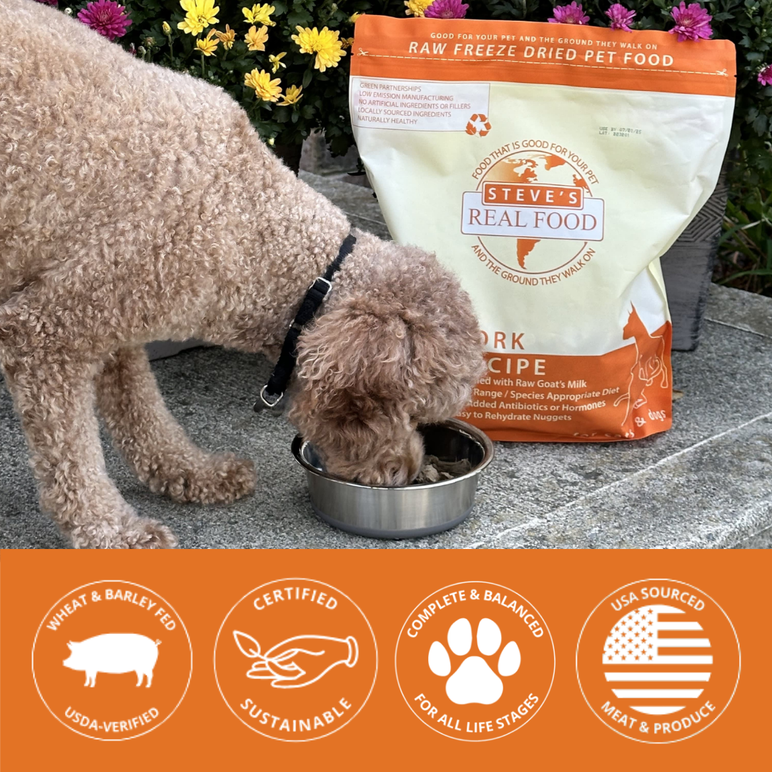 Dog eating from a bowl with Steve's Real Food pet food package in the background
