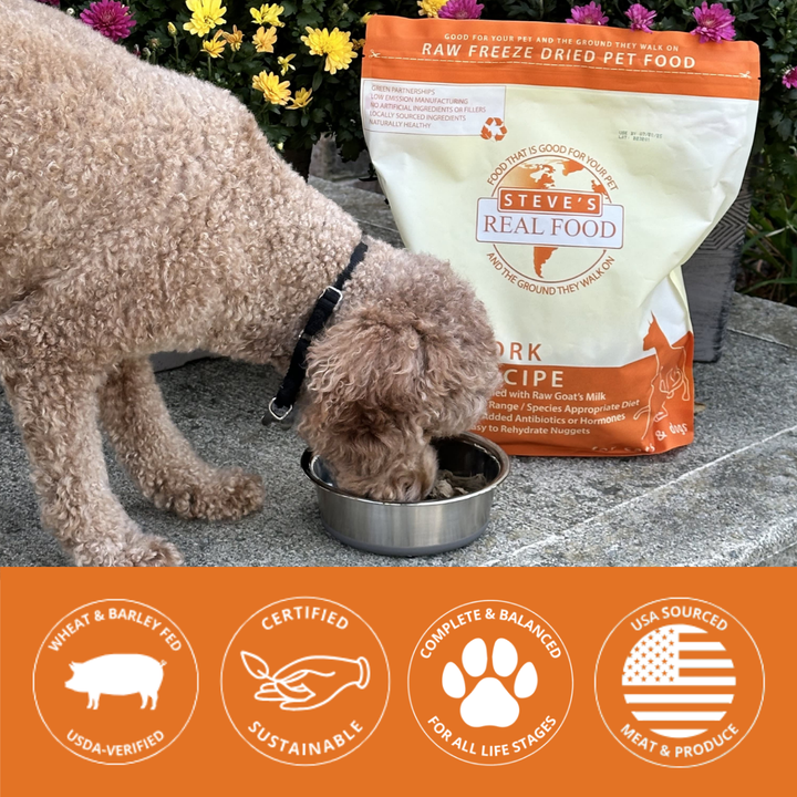 Dog eating from a bowl with Steve's Real Food pet food package in the background