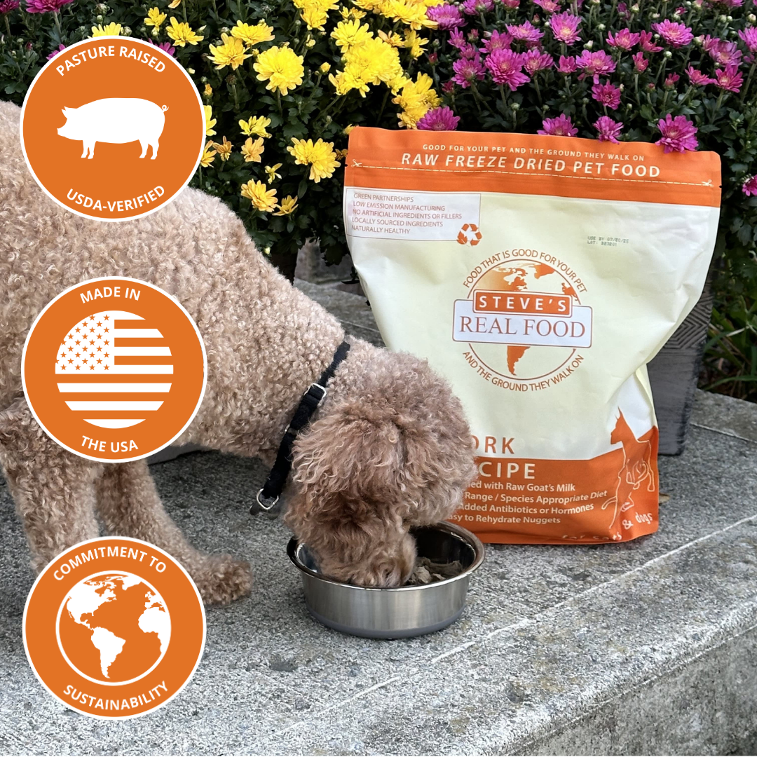 dog eating food out of bowl with informational icons