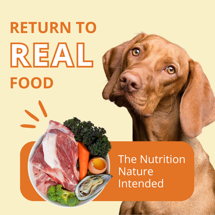 Steve's Real Food PORK 20 LB Frozen Raw Pet Food