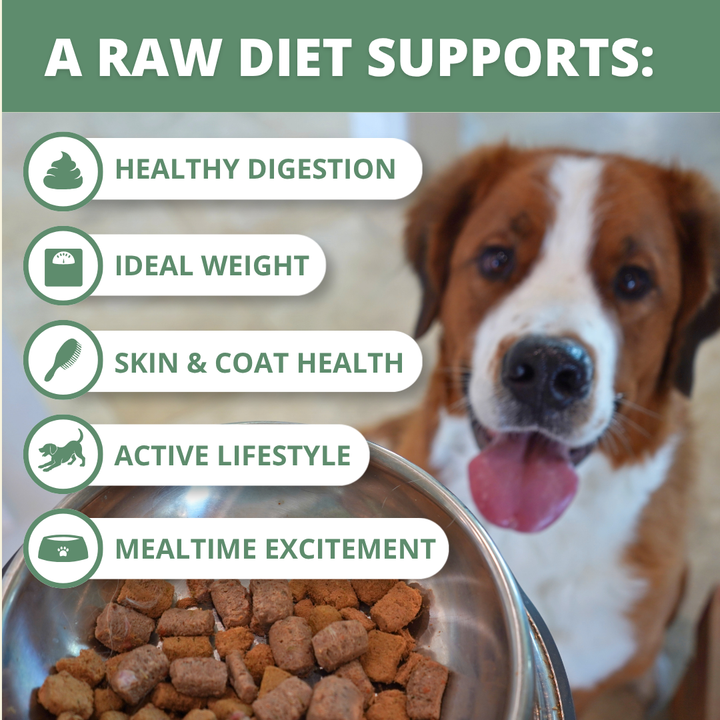 dog with bowl of food and text highlighting 5 benefits of raw