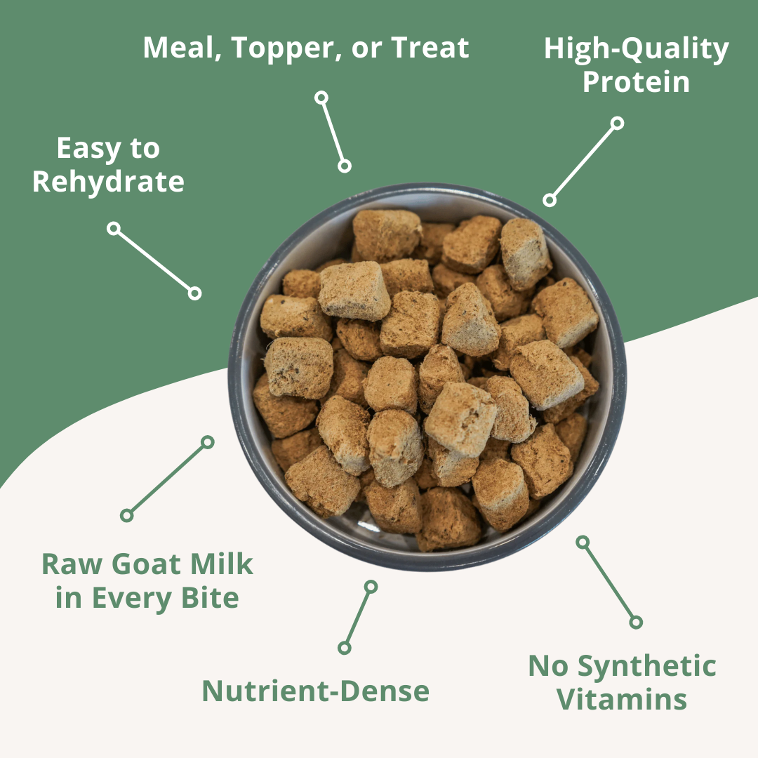 Bowl of pet food with text highlighting features on a green background