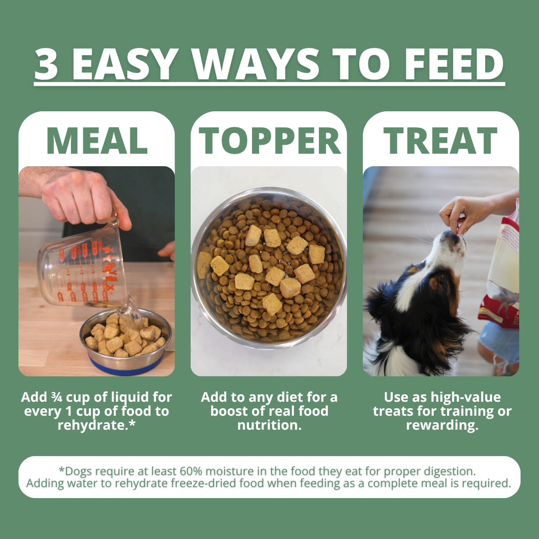 infographic showing 3 easy ways to feed