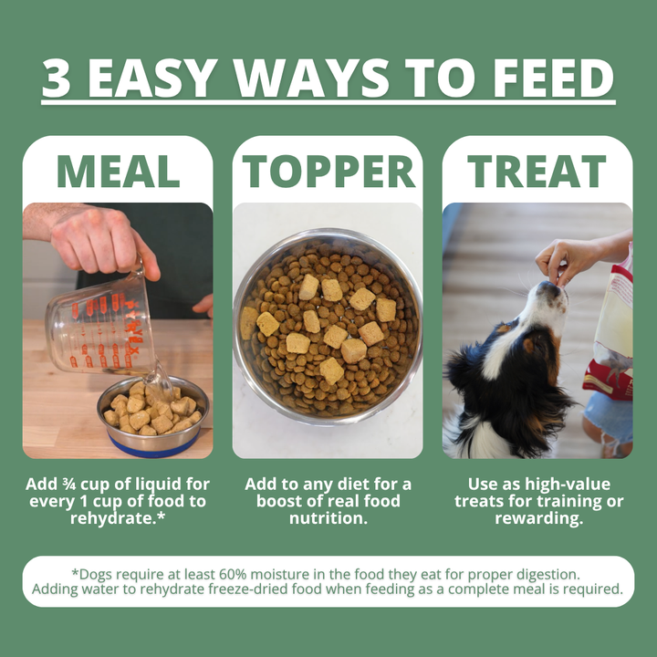 infographic showing 3 easy ways to feed