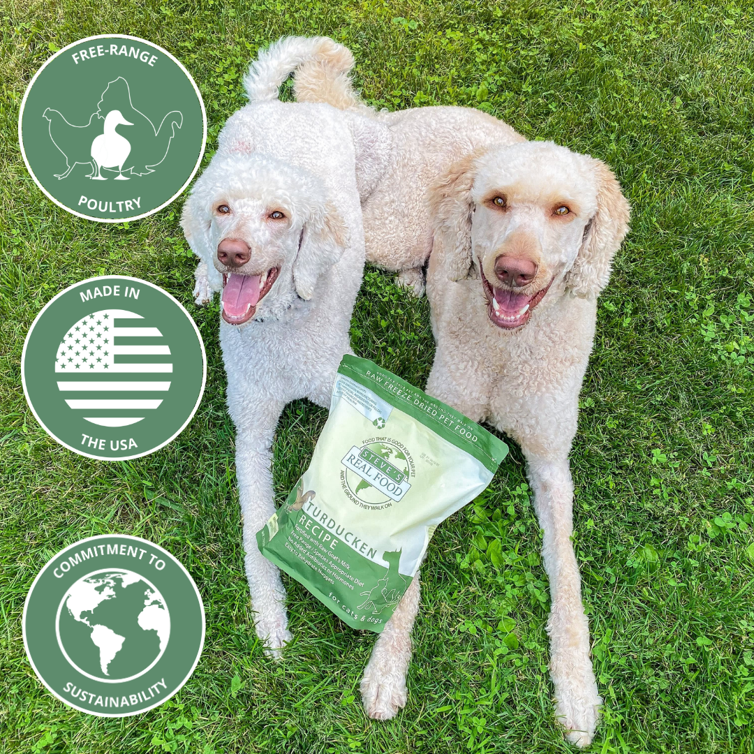 two poodles with bag of food and informational icons