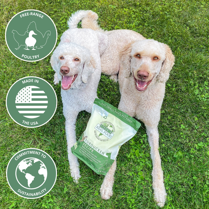 two poodles with bag of food and informational icons