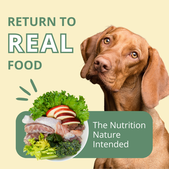 Steve's Real Food TURDUCKEN 20 LB Box Frozen Raw Pet Food