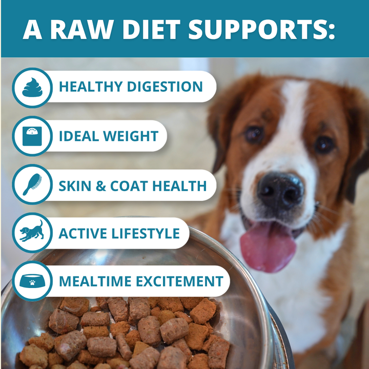 dog with bowl of food and text highlighting 5 benefits of raw